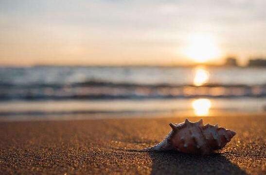 1642583959783838.jpg 1.jpg